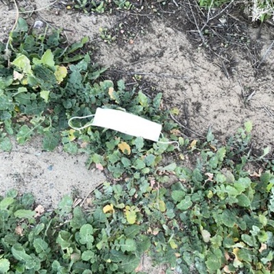 Trash near 8336 Pacific Coast Highway, Newport Beach