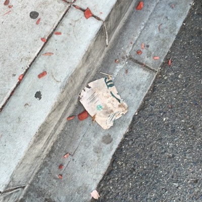 Trash near 158 Aster Street, Laguna Beach