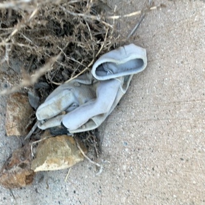 Trash near Dartmoor Street Trail Access, Dartmoor Street, Laguna Beach, Orange County, California, 92651, United States