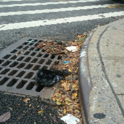 Trash near 106 Roebling St, Brooklyn, NY 11211, USA