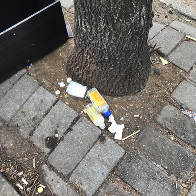Trash near 245 East 117th Street, New York-45ga