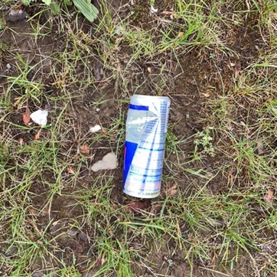 Trash near Target, 155, Pocono Commons Drive, Pocono Commons, Stroudsburg, Monroe County, Pennsylvania, 18360, United States