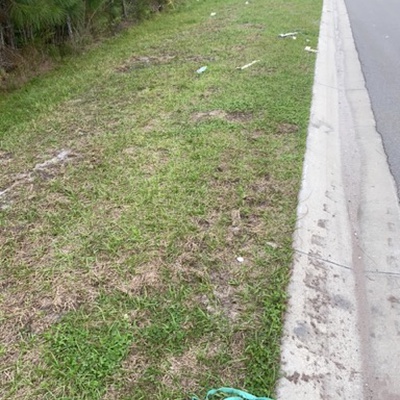 Trash near Hunters Ridge Boulevard, Flagler County, Florida, 32175, United States