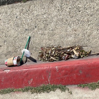 Trash near 2998, West Balboa Boulevard, Newport Heights, Newport Beach, Orange County, California, 92663, United States