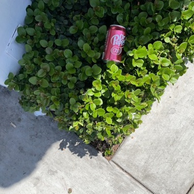 Trash near The Triangle, Newport Boulevard, Costa Mesa, Orange County, California, 92627, United States