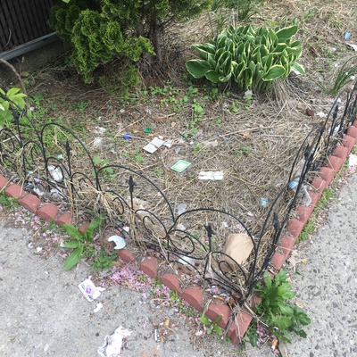 Trash near 469 Vandervoort Avenue, New York City