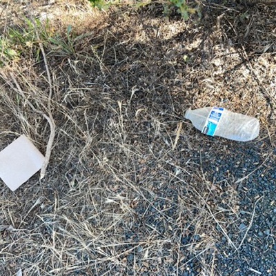 Trash near Hearst Castle Visitor Center, 750, Hearst Castle Road, San Luis Obispo County, California, United States