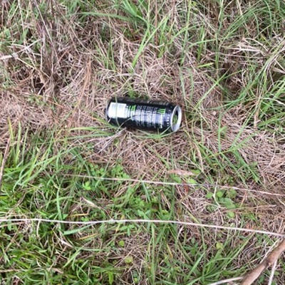 Trash near 35 Canterbury Woods, Ormond Beach