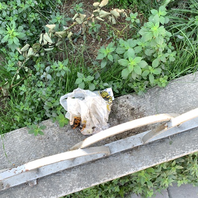 Trash near Mithatpaşa Caddesi, Balçova, Izmir, Aegean Region, 35320, Turkey