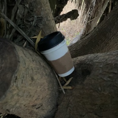 Trash near 16, San Clemente Drive, Rancho Palos Verdes, Los Angeles County, California, 90275, United States