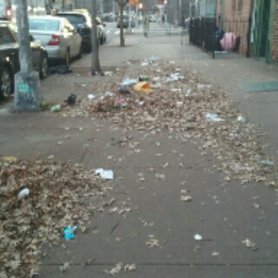 Trash near 208 N 5th St, Brooklyn, NY 11211, USA