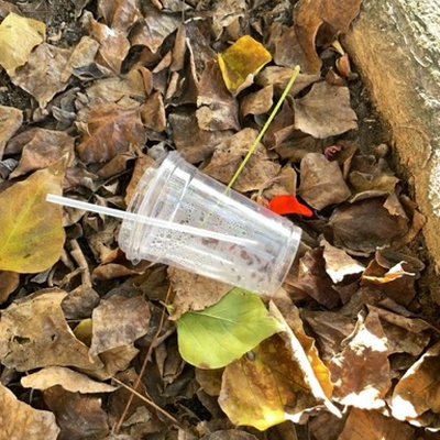 Trash near Monarch Beach Golf Links, Tiburon, Monarch Beach, Dana Point, Orange County, California, 92629, United States