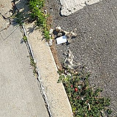 Trash near 22-14 Astoria Boulevard, New York