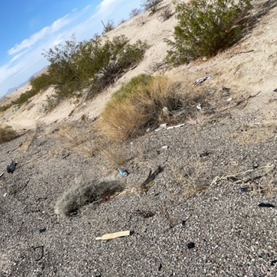 Trash near Purple Heart Trail, Mohave County, Arizona, United States