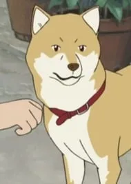 ハヤテ