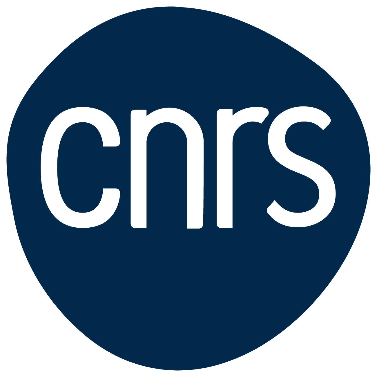 Centre National de la Recherche Scientifique logo