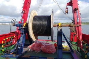 EMSO-Obsea extends its capacity with a new observatory-to-shore optical fiber cable