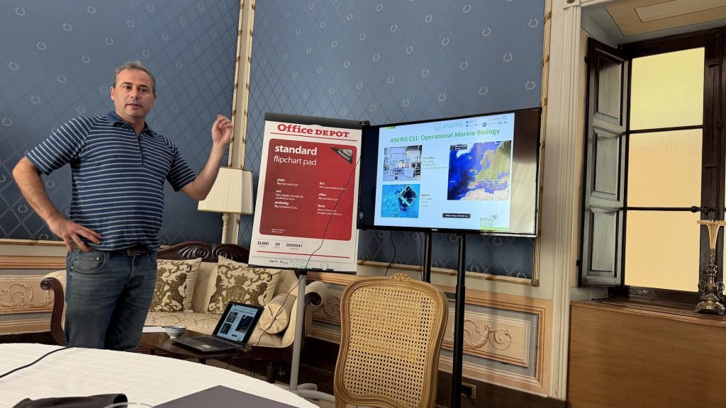 EMSO Cabled Observatories for Real-Time Data and Services: From Operational Marine Biology to Geohazards Monitoring
