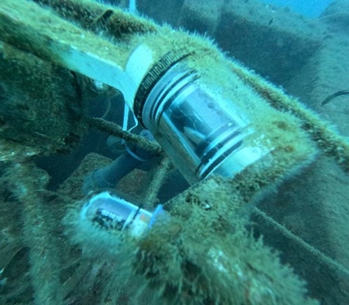 Light units of the UVP6 sensor (top right) and UV-C light (bottom left) (2024/11/05)