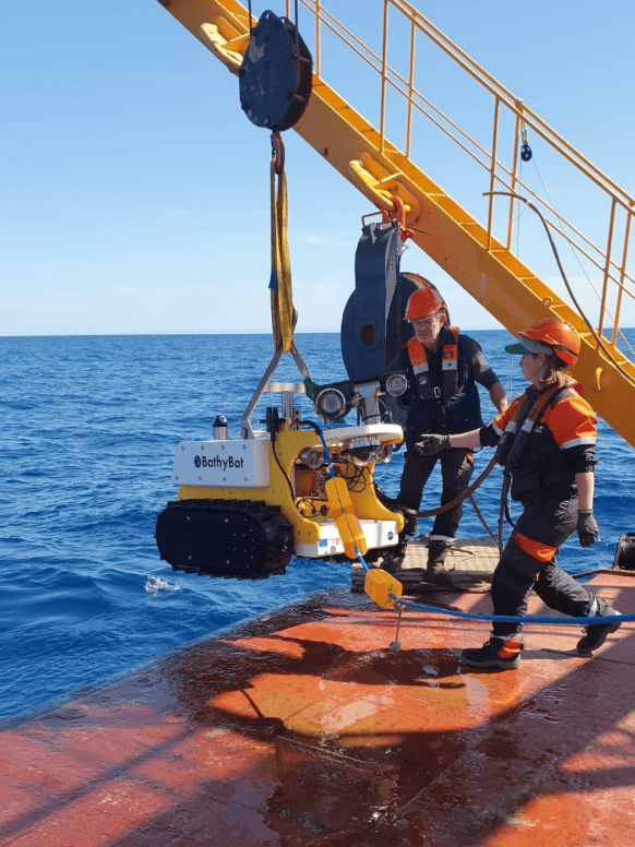 A very active month of May on the EMSO Ligurian Sea
