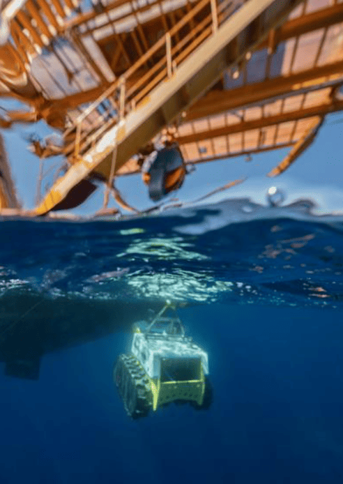 A very active month of May on the EMSO Ligurian Sea