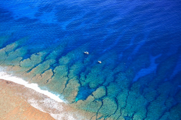 REMORA: Ocean Science & Innovation from the Edge of Europe
