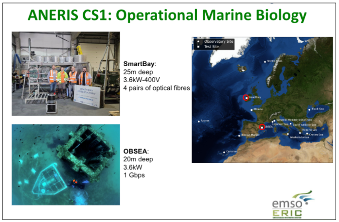 EMSO Cabled Observatories for Real-Time Data and Services: From Operational Marine Biology to Geohazards Monitoring