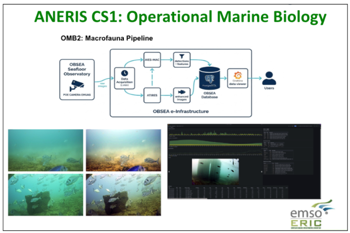 EMSO Cabled Observatories for Real-Time Data and Services: From Operational Marine Biology to Geohazards Monitoring
