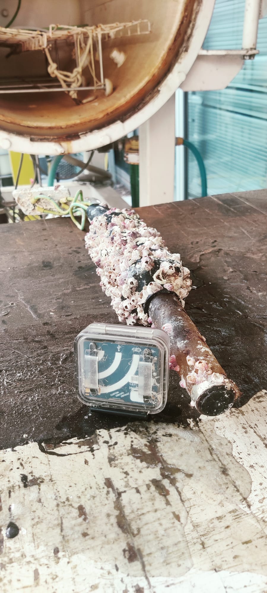 Low-cost HydroMoth recorders tested at OBSEA to expand underwater sound monitoring