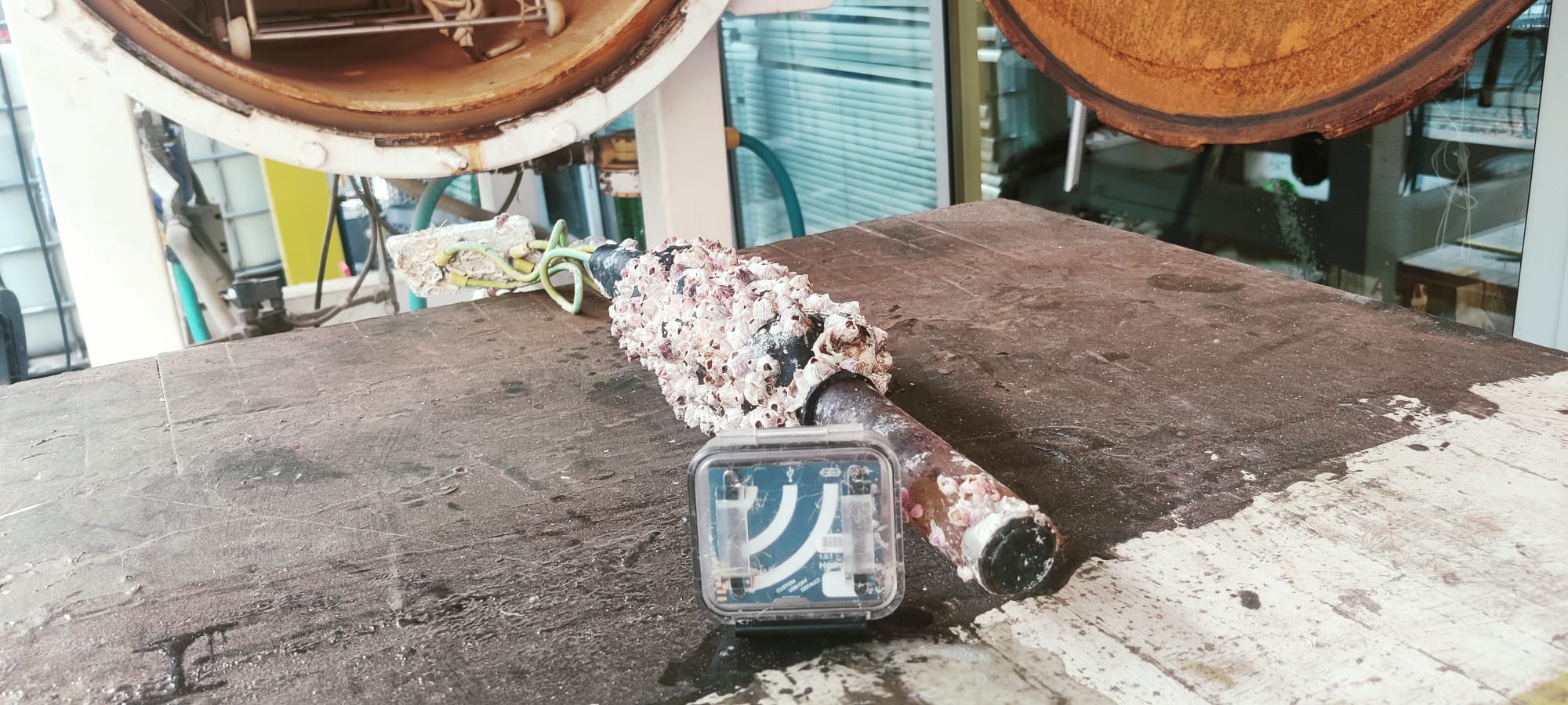 Low-cost HydroMoth recorders tested at OBSEA to expand underwater sound monitoring