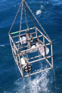 3-miles down, 30-year study, the giant amphipods are changing