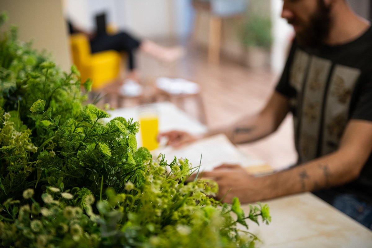 Interior Plants, Enattica Syntagma Living