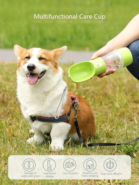 Bebedero Portátil Para Perros Amarillo