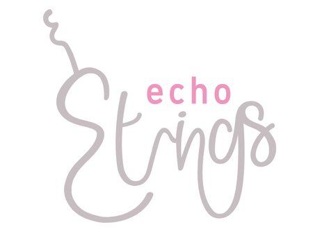 The Echo String Quartet