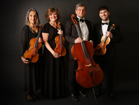 The Element String Quartet, Trio & Duo