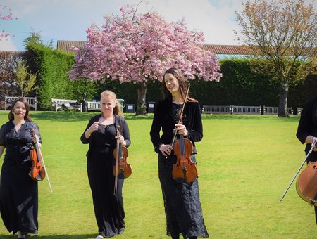 Andante String Quartet