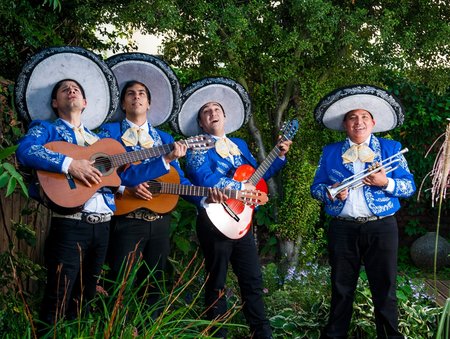 Mariachi Ole