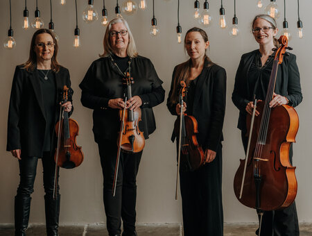 The Fern String Quartet