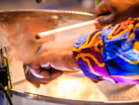 Steelasophical Steel Pan DJ