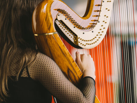 Alice Roberts (Harpist)