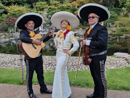 Mariachi Tierra y Alma