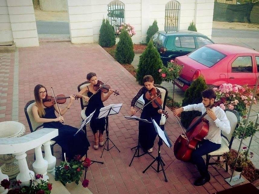 Wedding & Event Musicians, Arcobaleno Strings