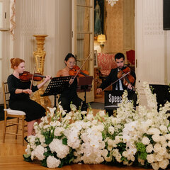 Hire SpeechLess Strings String ensemble with Encore