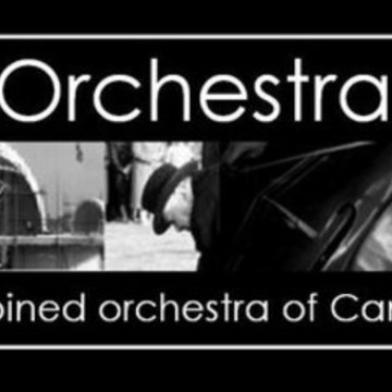 Orchestra on the Hill's profile picture