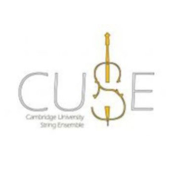 Cambridge University String Ensemble's profile picture