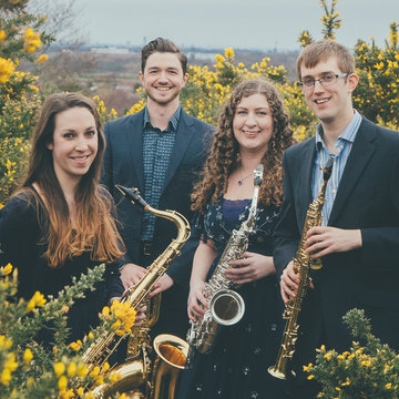 Borealis Saxophone Quartet's profile picture