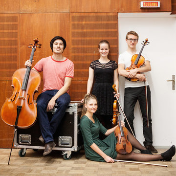 Vierimpuls String Quartet's profile picture