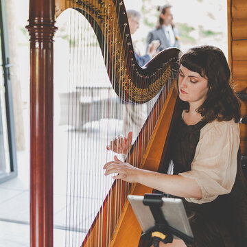 Hire Sam Hickman Harpist with Encore