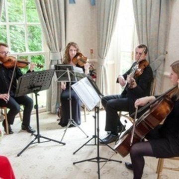 Hire Park String Quartet String duo with Encore