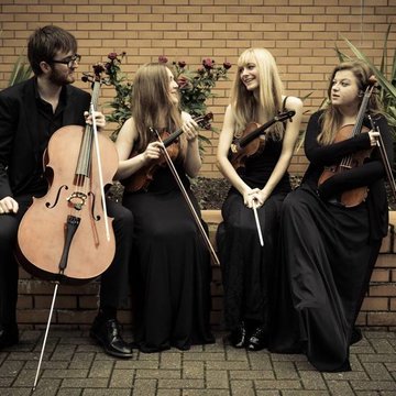 The Platinum String Quartet's profile picture